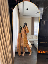 Load image into Gallery viewer, 3pc NUDE Embroidered  Chiffon Shalwar Kameez with Net dupatta Stitched Suit Ready to wear HW-DT83D
