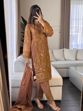 Load image into Gallery viewer, 3pc NUDE Embroidered  Chiffon Shalwar Kameez with Net dupatta Stitched Suit Ready to wear HW-DT83D
