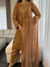 Load image into Gallery viewer, 3pc NUDE Embroidered  Chiffon Shalwar Kameez with Net dupatta Stitched Suit Ready to wear HW-DT83D
